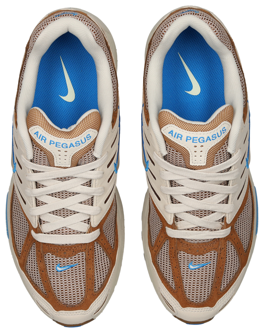 Nike Pegasus 2005