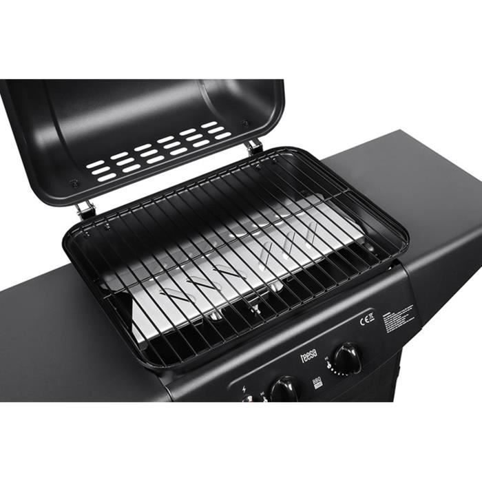 Barbecue a gas Teesa BBQ 2000 TSA0800 a 2 bruciatori con ruote