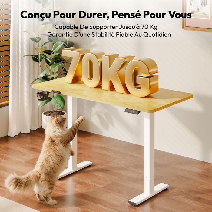 SANODESK Bureau Assis Debout, Plateau Complet 110x54cm, Système Anti-Collision, Fonctions Mémoires, Crochet/Porte-gobelet, Érable