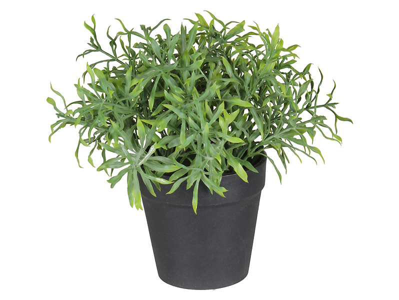 Sztuczna roślina w doniczce Herbs I 20 cm zielona