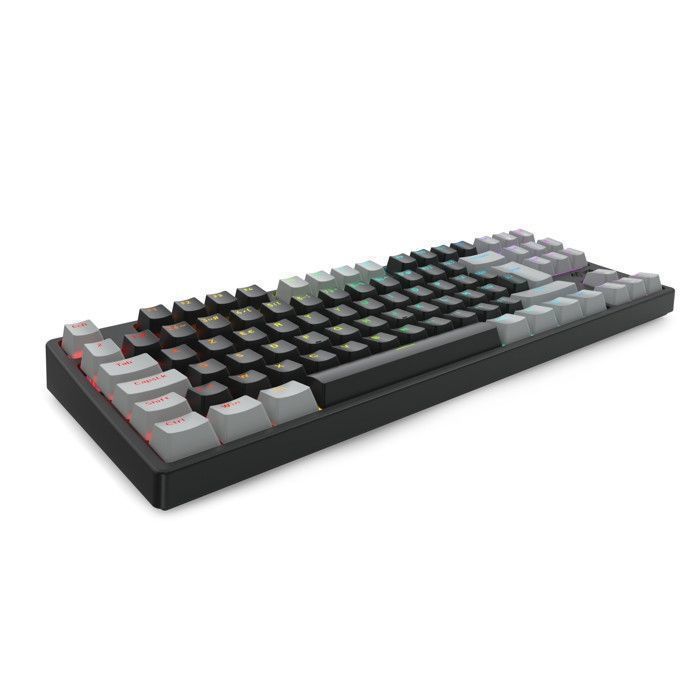 TKL Mechanical Keyboard, Wired, RGB, Red Switches, PBT Keycaps, Anti-Ghosting, ABS, French AZERTY