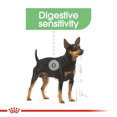 Royal Canin Mini Verdauungspflege