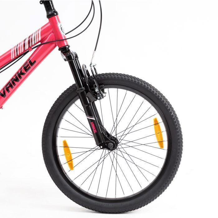Leawin 20-Inch Children's Bike, Pink – Mountain Bike for Boys and Girls Ages 6 to 10 – Single Speed – V-Brakes – Steel Frame – Junior Bike