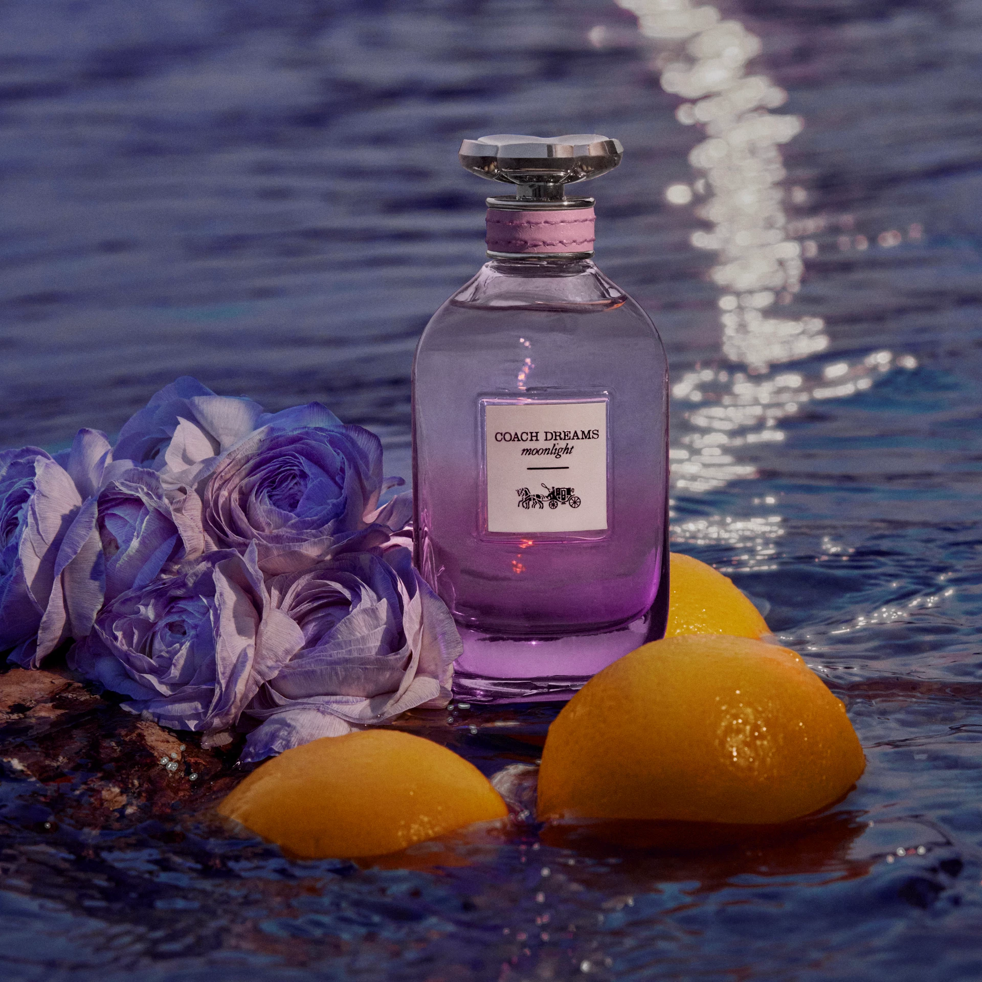Dreams Moonlight EdP 60 ml - Coach