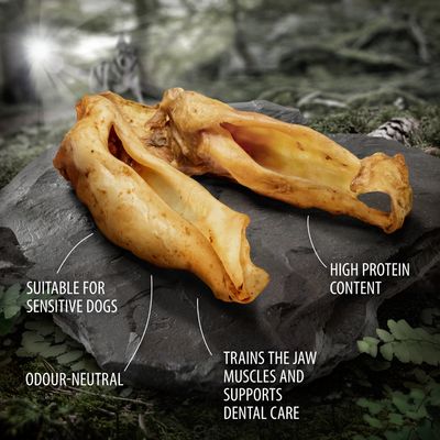 Wolf of Wilderness Premium Vildtører