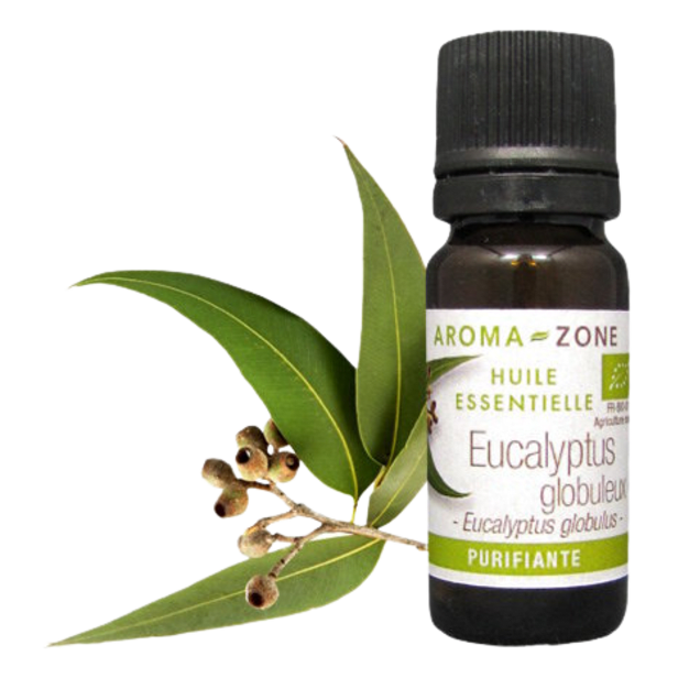 Huile essentielle Eucalyptus globulus BIO 10ml