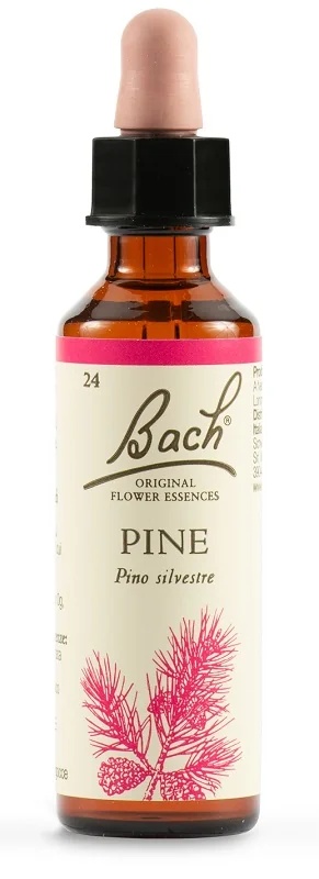 SCHWABE Schwabe Bachblüten 24 Kieferntropfen 20 ml