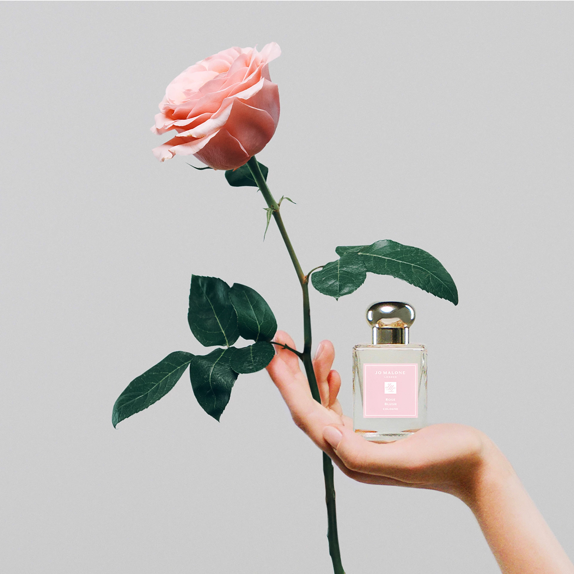 Woda kolońska Rose Blush 50 ml - Jo Malone London