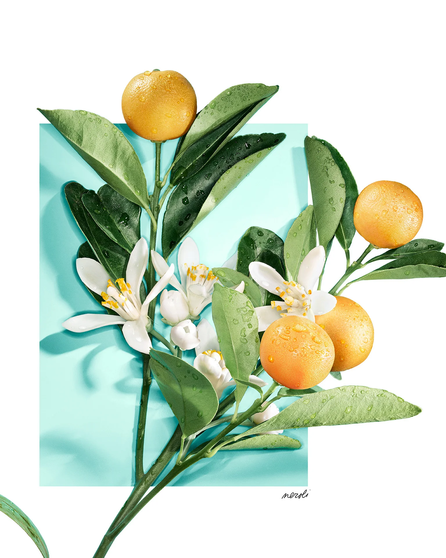 Tiffany & Love For Her Tiffany & Love For Her - Eau de Parfum