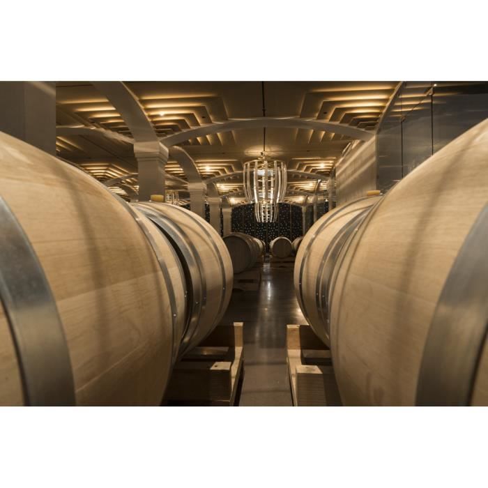Château La Croix Montlabert 2018 Saint-Emilion Grand Cru - Vino Tinto Burdeos