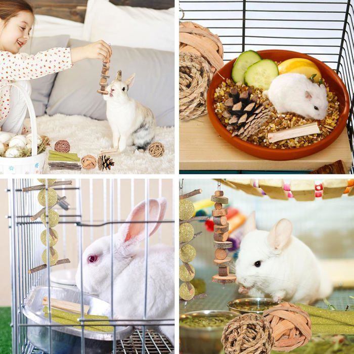 Jouets de mastication - PZCC - 16 pièces - Bois naturel - Pour petits rongeurs - Soins dentaires