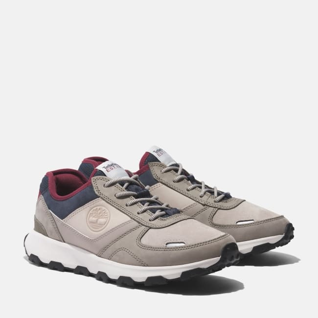 Scarpa Oxford Winsor Park da Uomo in beige
