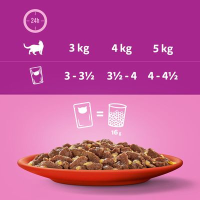 Whiskas 1+ Fleischgerichte in Gelee