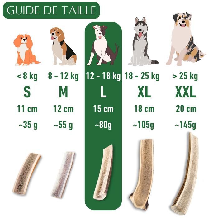 Bois de cerf pour Chien a Macher TRANCH Taille L Friandise pour Chiots et Chiens de Tout ges Jouet Mastication 1 pice