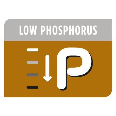 PURINA PRO PLAN Veterinaire Voeding voor Katten NF Nierfunctie - Zalm