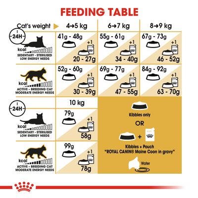 Royal Canin Maine Coon Volwassen