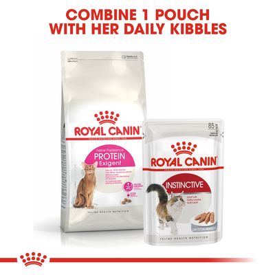 Royal Canin Protein Demanding