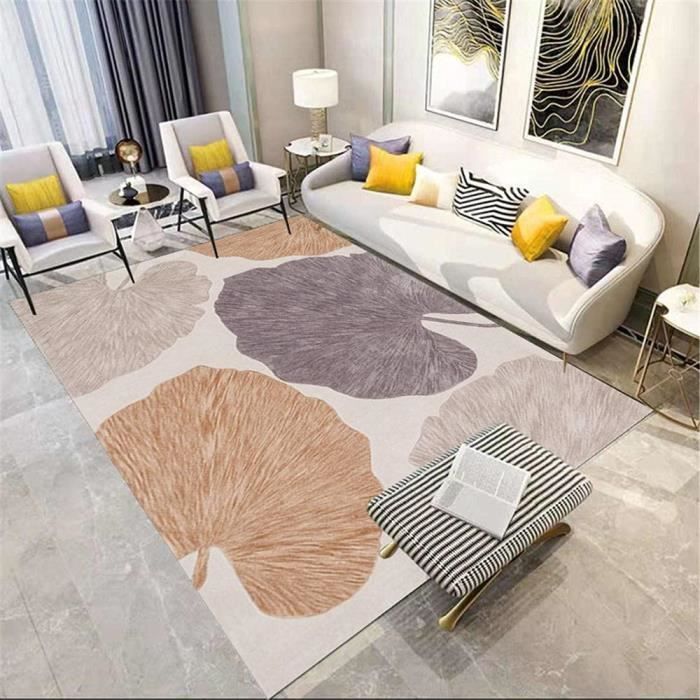 Tapis de Salon Rectangulaire - Chambre - Résistant à l'Usure - Ne se Décolore Pas - 60x90cm