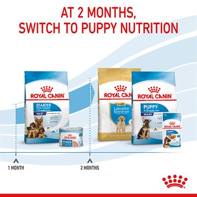 Royal Canin Maxi Starter Mother & Babydog