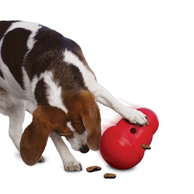 Giocattolo per cani KONG Wobbler