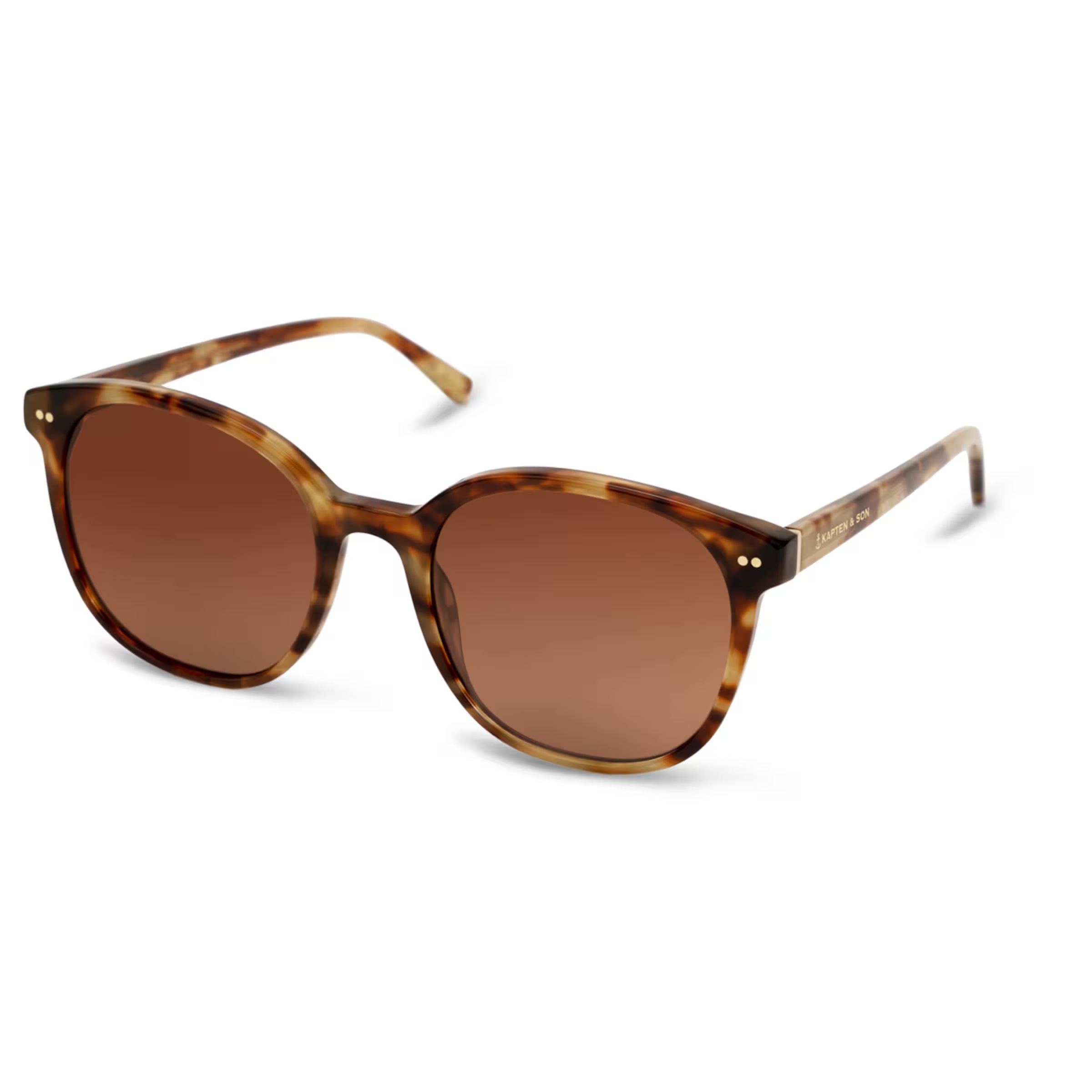 Tortue brune de Nairobi Havana