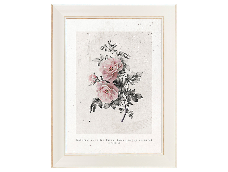 Obraz w ramie Aged Roses Art. No.1 63x83 cm