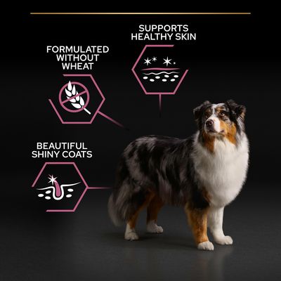 PURINA PRO PLAN Senior Medium & Large Adult 7+ Citlivá pokožka