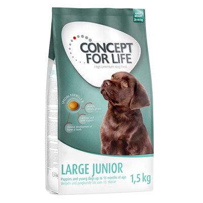 Concept voor het leven, grote junior