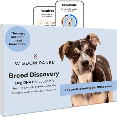 Wisdom Panel™ DNA-test voor het ontdekken van hondenrassen