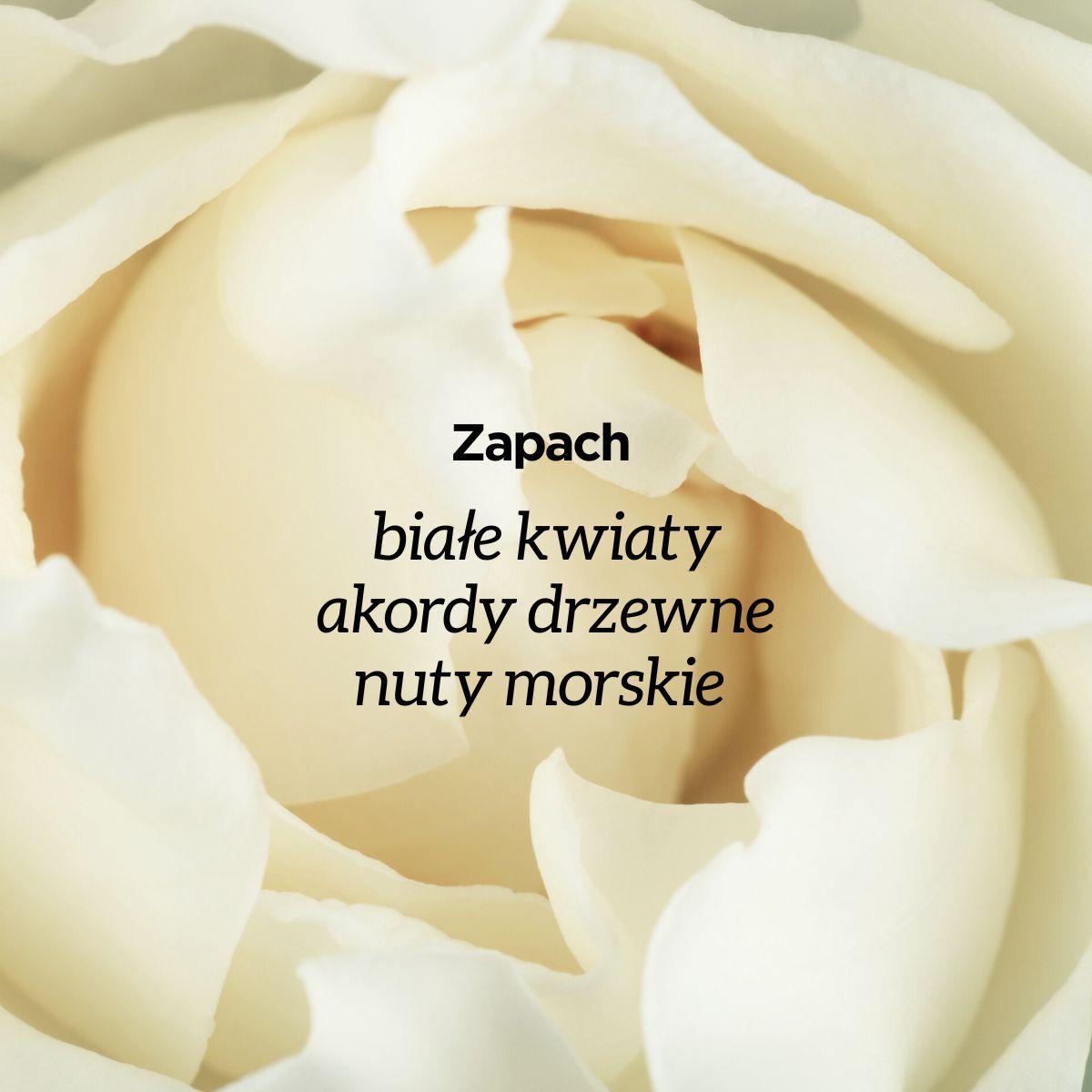 Uzdrovisco Gardenia