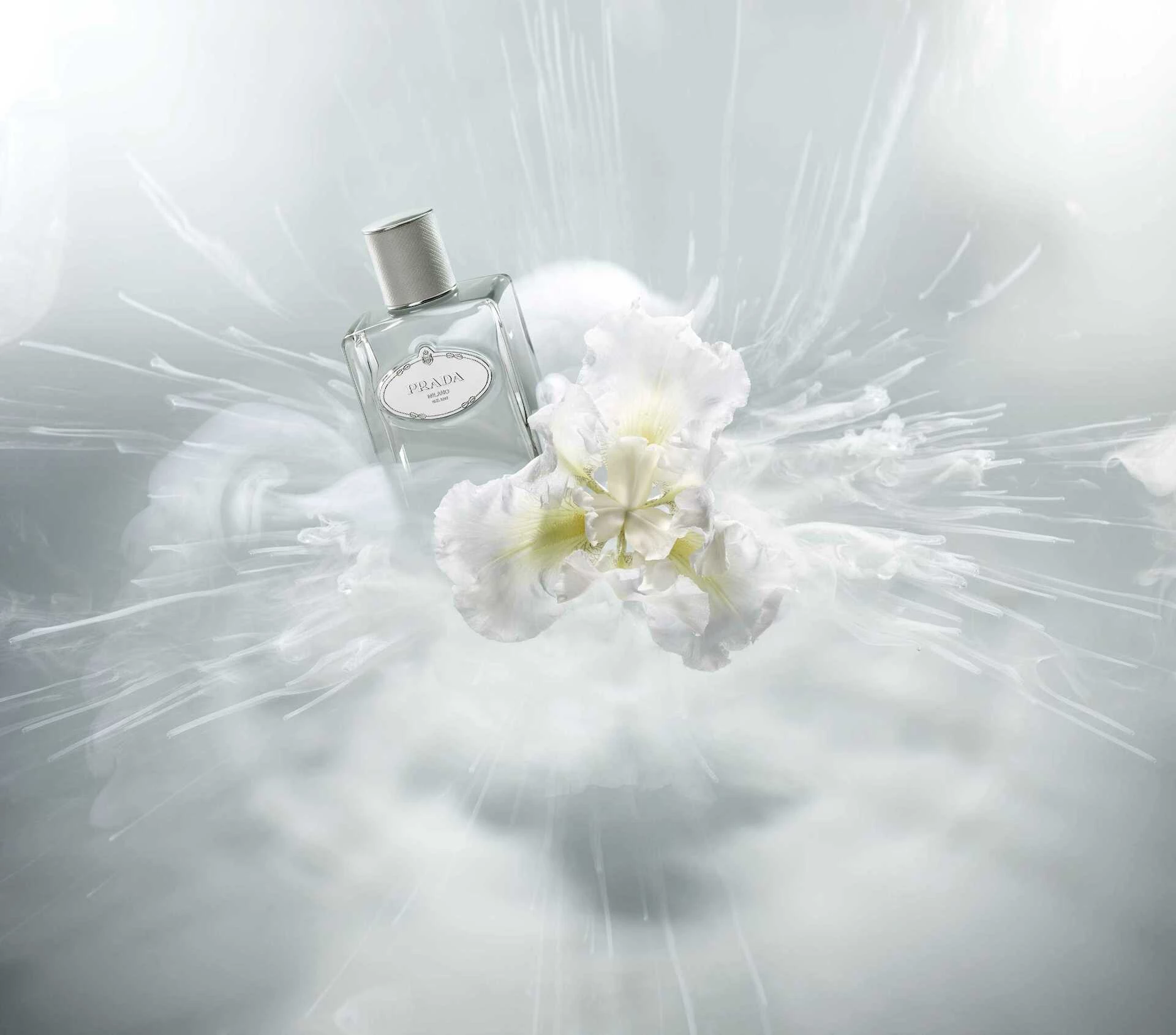 Cedar Iris Infusion EdP 100 ml - Prada