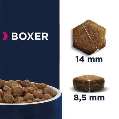 Eukanuba Boxer Ενηλίκων