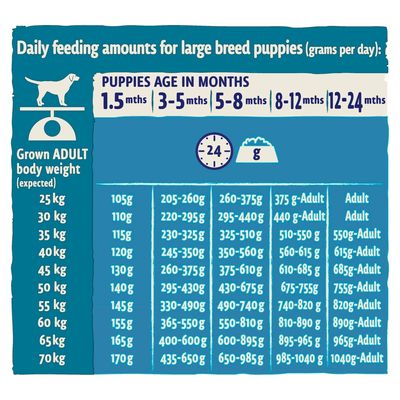 BETA Κουτάβι Μεγάλης Φυλής Γαλοπούλας