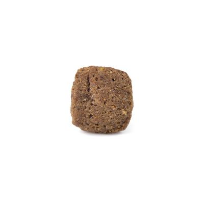 Arden Grange Senior – Frisches Hähnchen & Reis