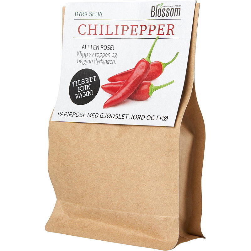 Blomstrende pose med chilifrø, blomst