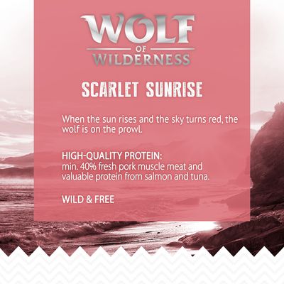 Wolf of Wilderness Adult 