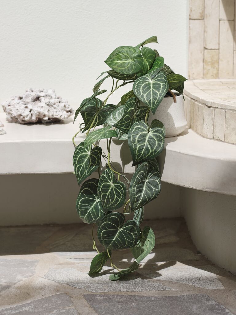 KNOPPSVANE Umelá rastlina KNOPPSVANE V30cm zelená