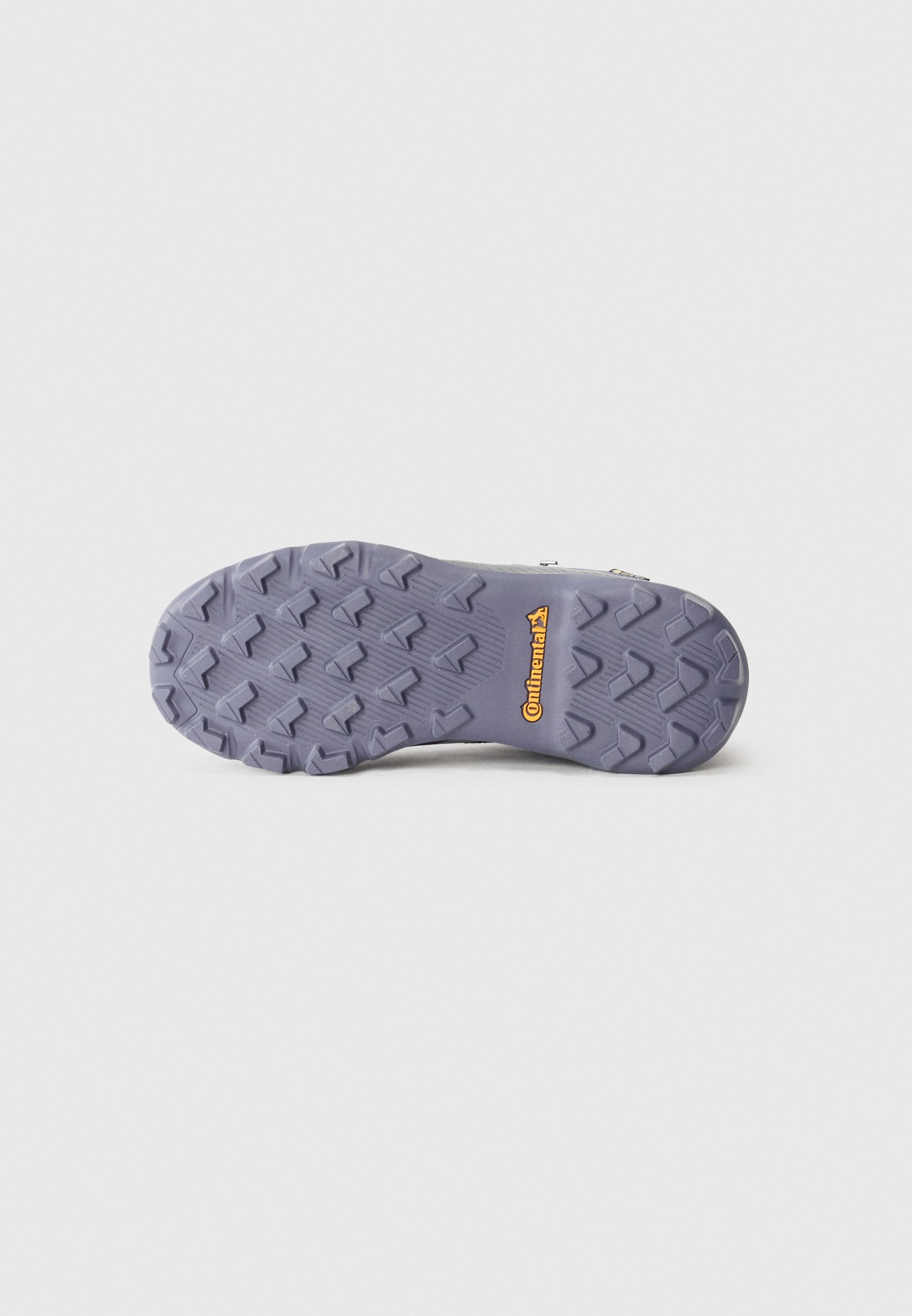 Adidas Terrex GTX UNISEX - Wandelschoenen - aurora plum/zilverkleurig/semi flash aqua