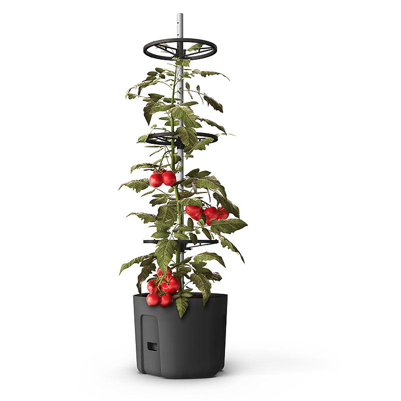 Blossom tomatpotte 29 cm, selvvannende, Blossom