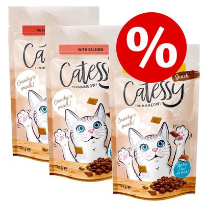 sachets de 65 g de friandises croustillantes pour chats Catessy, assortiment découverte - Prix spécial !*