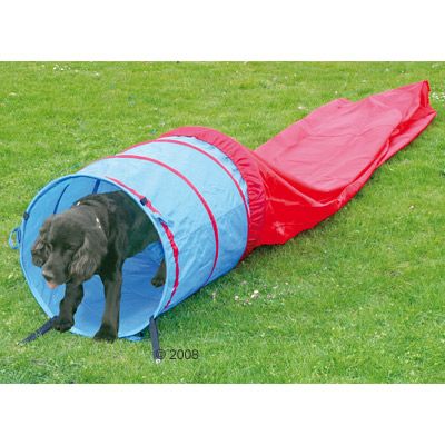 Spaß & Sport Hunde-Agility-Tunnel - Rutsche