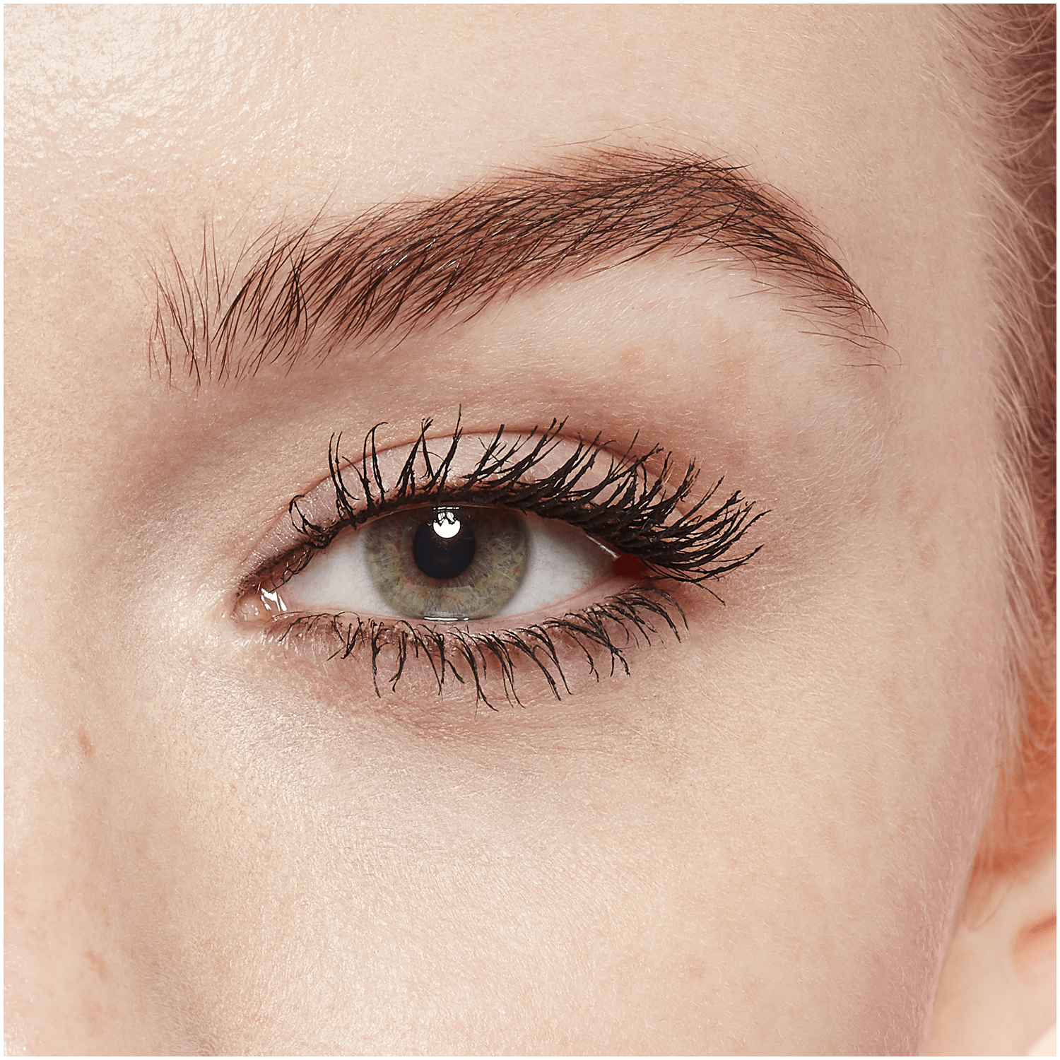 L'Oréal Paris Lash Paradise