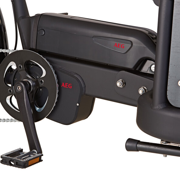 Nákladní elektrokolo Plus 22 ETL 10 ComfortDrive