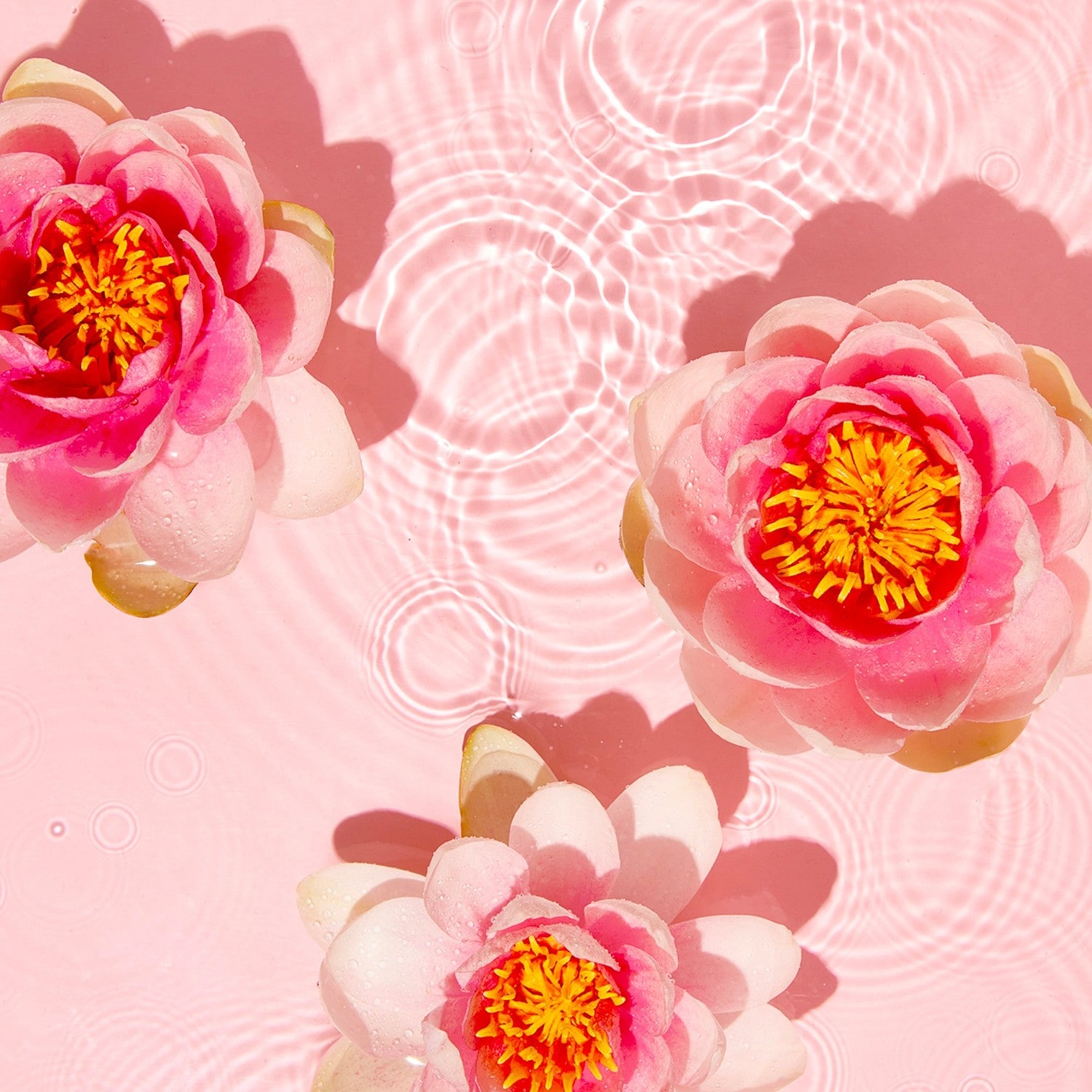 Jowaè Gel Purifiant Anti-Imperfections au Lotus sacré