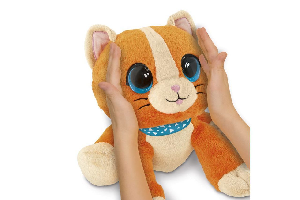 Kočička Gato Peekaboo WOW MAZLÍČCI