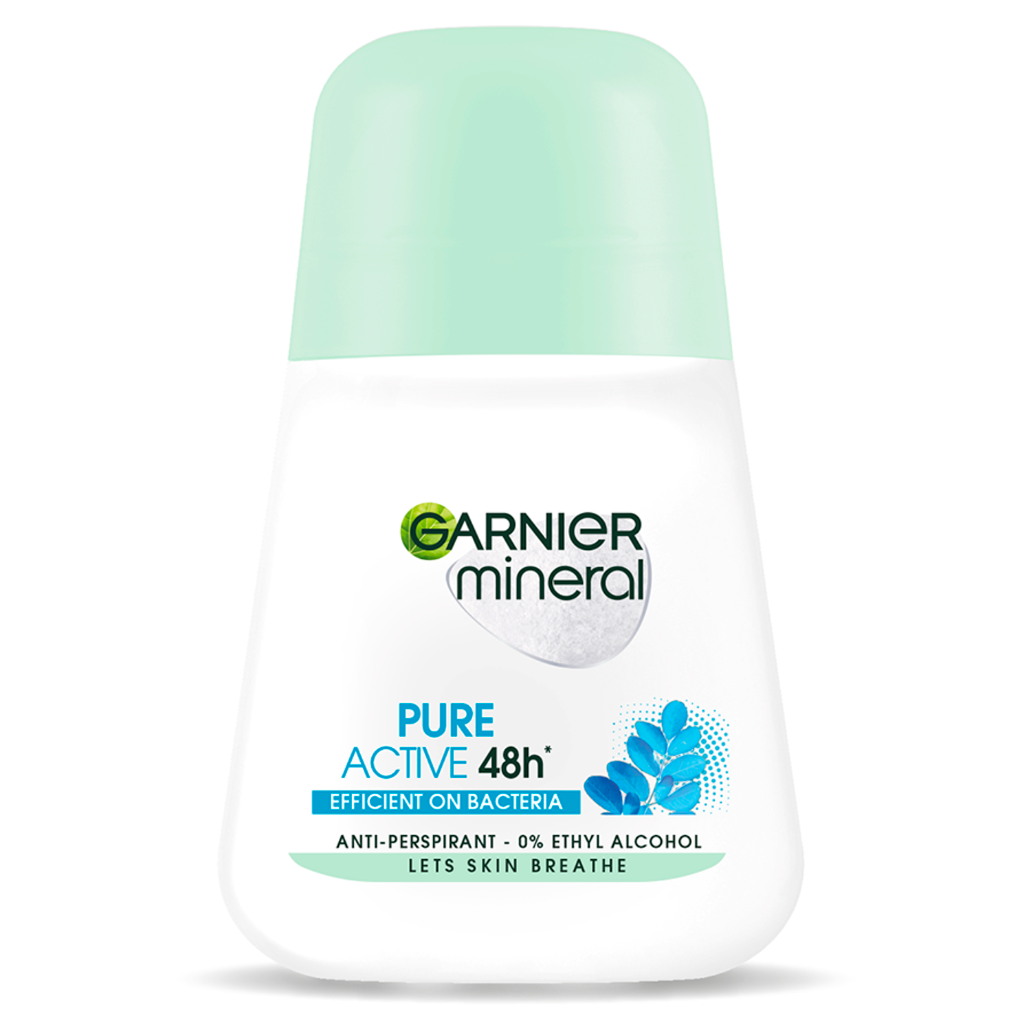 Garnier Mineral Pure Active 48h