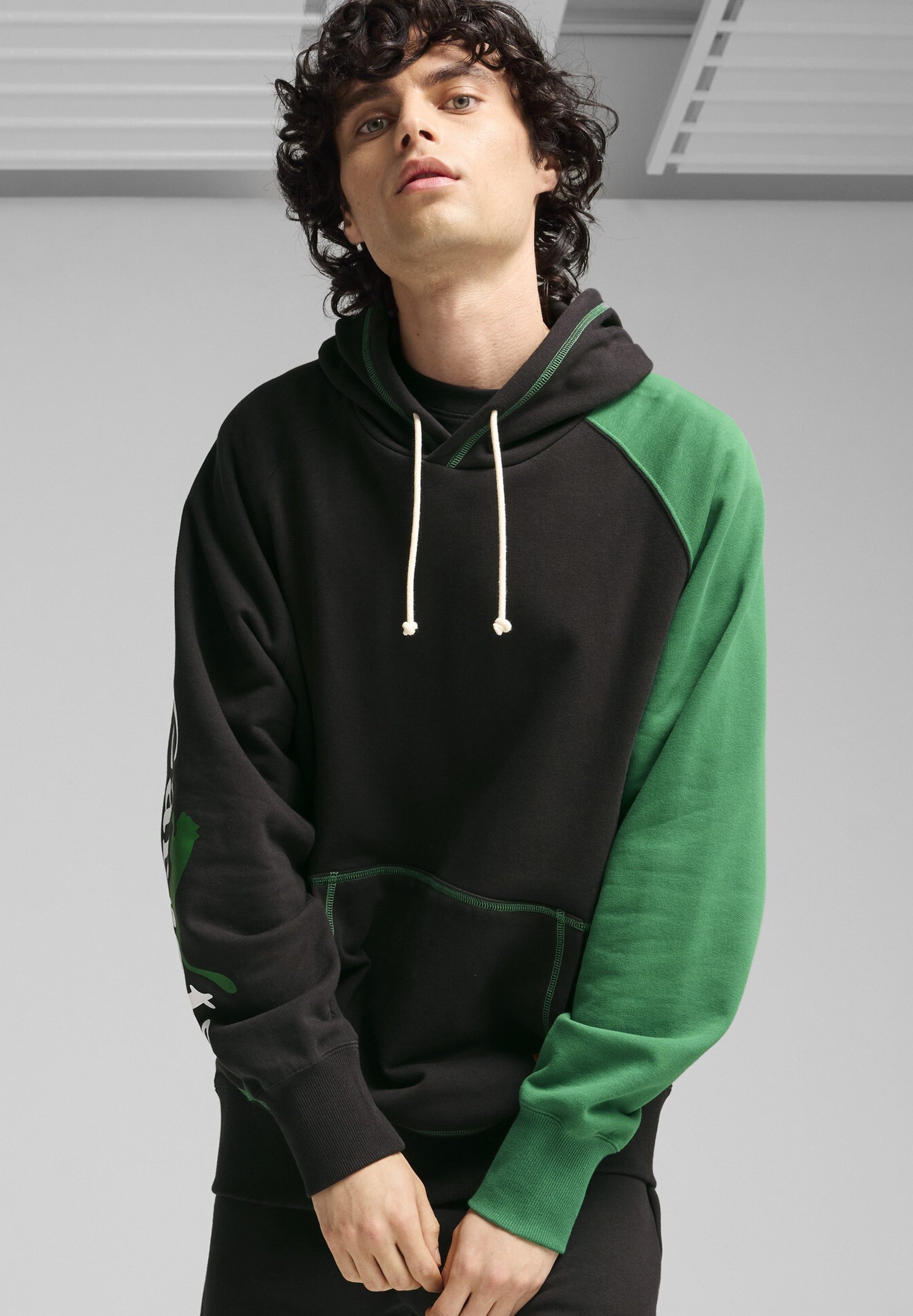 Puma CARROTS - Sweat à capuche - noir