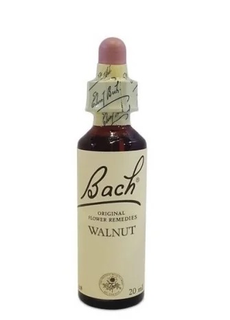 NATUR Bach Center Ess Walnuss 20 ml