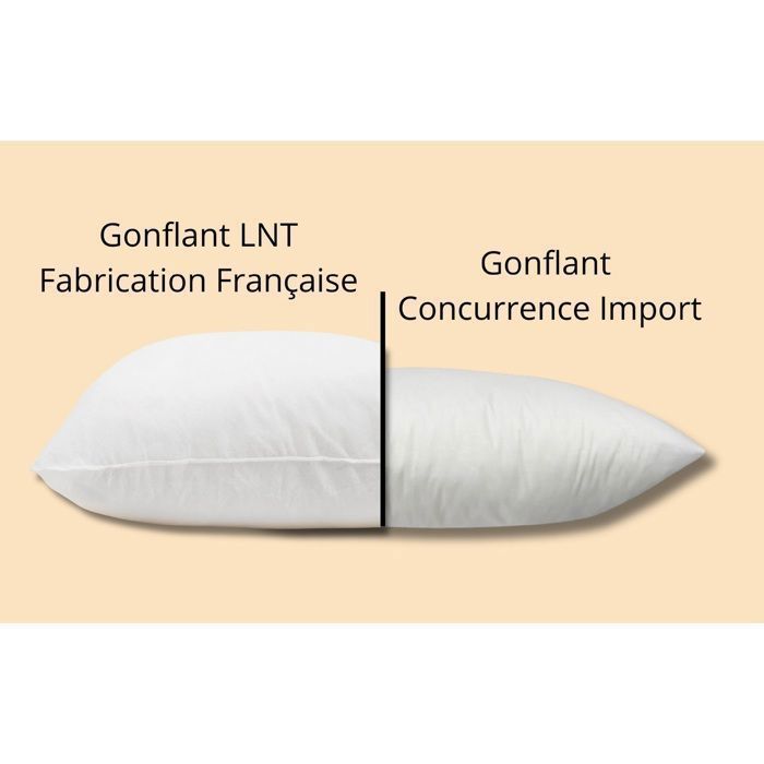 Lot de 2 Coussins de Garnissage, 40 x 40 cm, Ultra Gonflant, Coussin Canapé, Coussin à Recouvrir, Rembourrage Coussins