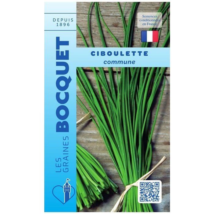 Seed - Common Chives (civet)